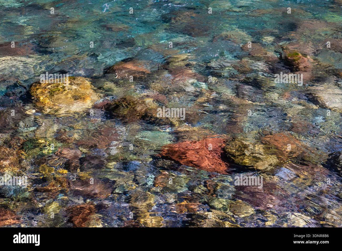 Le acque glaciali del fiume Dosewallips, Olympic National Forest, Washington State, USA Foto Stock