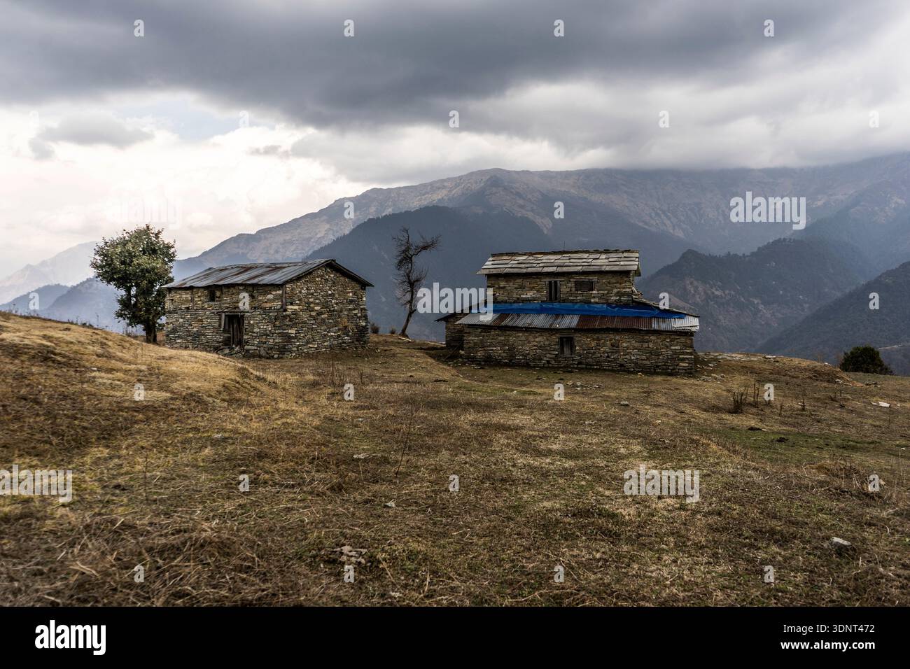 Case individuali vicino a Chitre, massiccio dell'Annapurna, distretto di Myagdi, Nepal Foto Stock