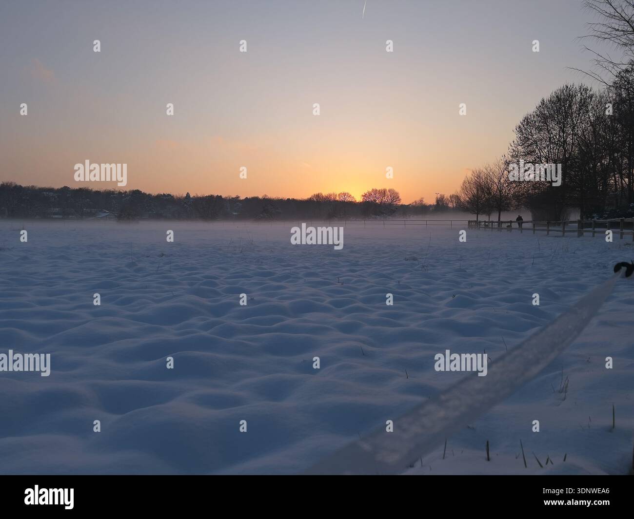 Vista su un prato innevato verso il tramonto in inverno Foto Stock