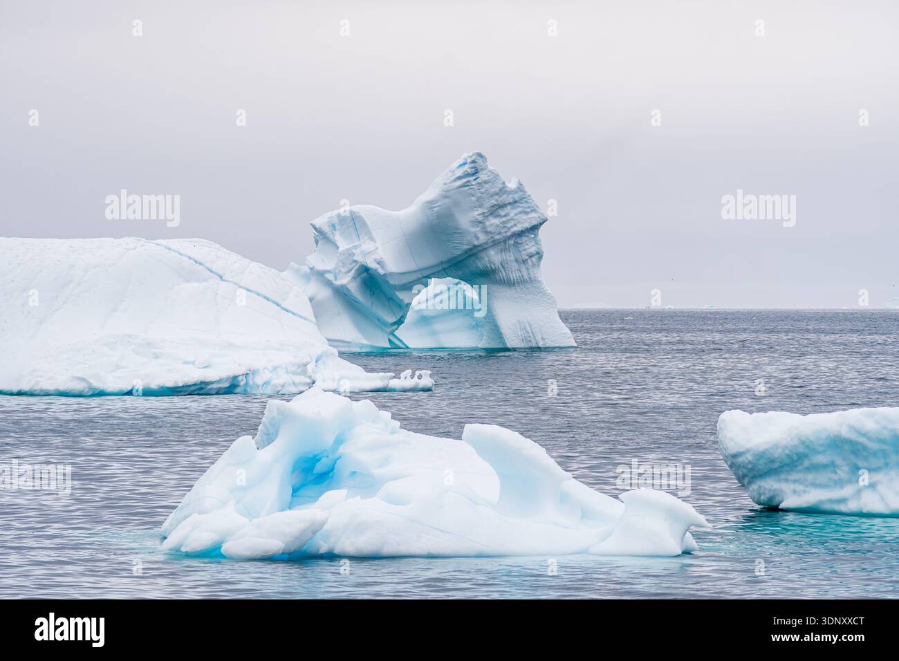 I maestosi iceberg vagano pacificamente nelle tranquille acque della Groenlandia, mostrando le splendide sculture ghiacciate della natura sotto un cielo nuvoloso. La quiete ec Foto Stock