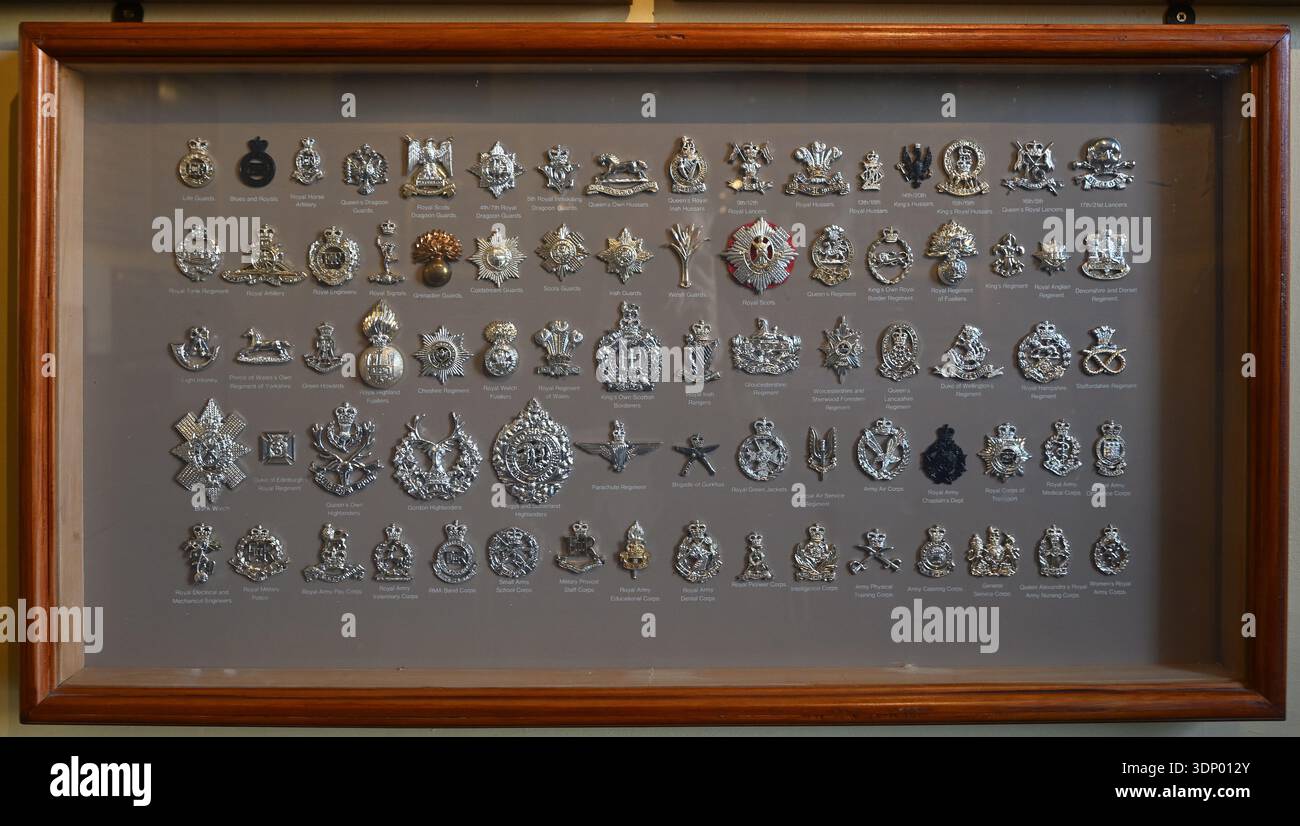 British Army Regimental Cap Badges - Wellington Hall Museum - Royal Hospital Chelsea - sede dei Chelsea Pensioners - Londra Regno Unito Foto Stock