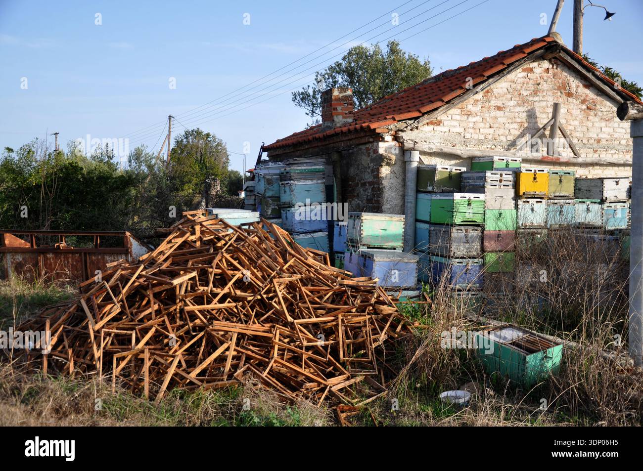 un vecchio magazzino con alveari di legno fuori Foto Stock