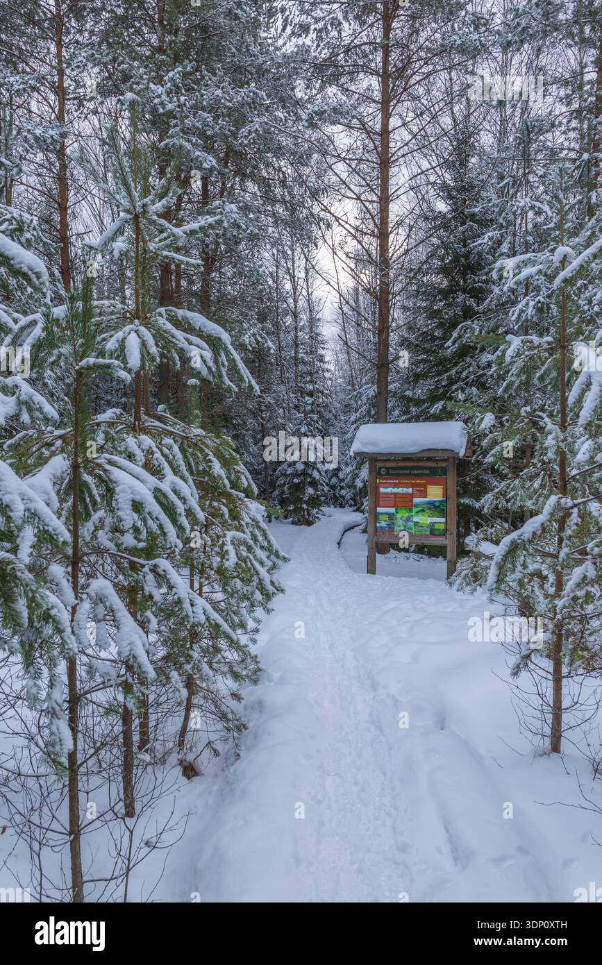 Percorso innevato che si snoda attraverso una tranquilla foresta invernale passando davanti a una bacheca informativa Foto Stock