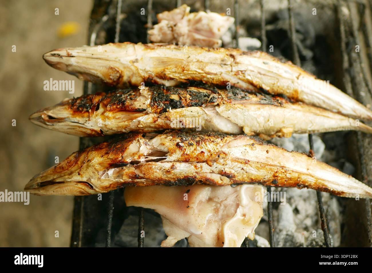 Sgombro di Street food Scomber scombrus venditore di pesce all'aperto che vende cucina arrosto barbecue grigliate grigliate grigliate grigliate grigliate fresche gustose e Foto Stock