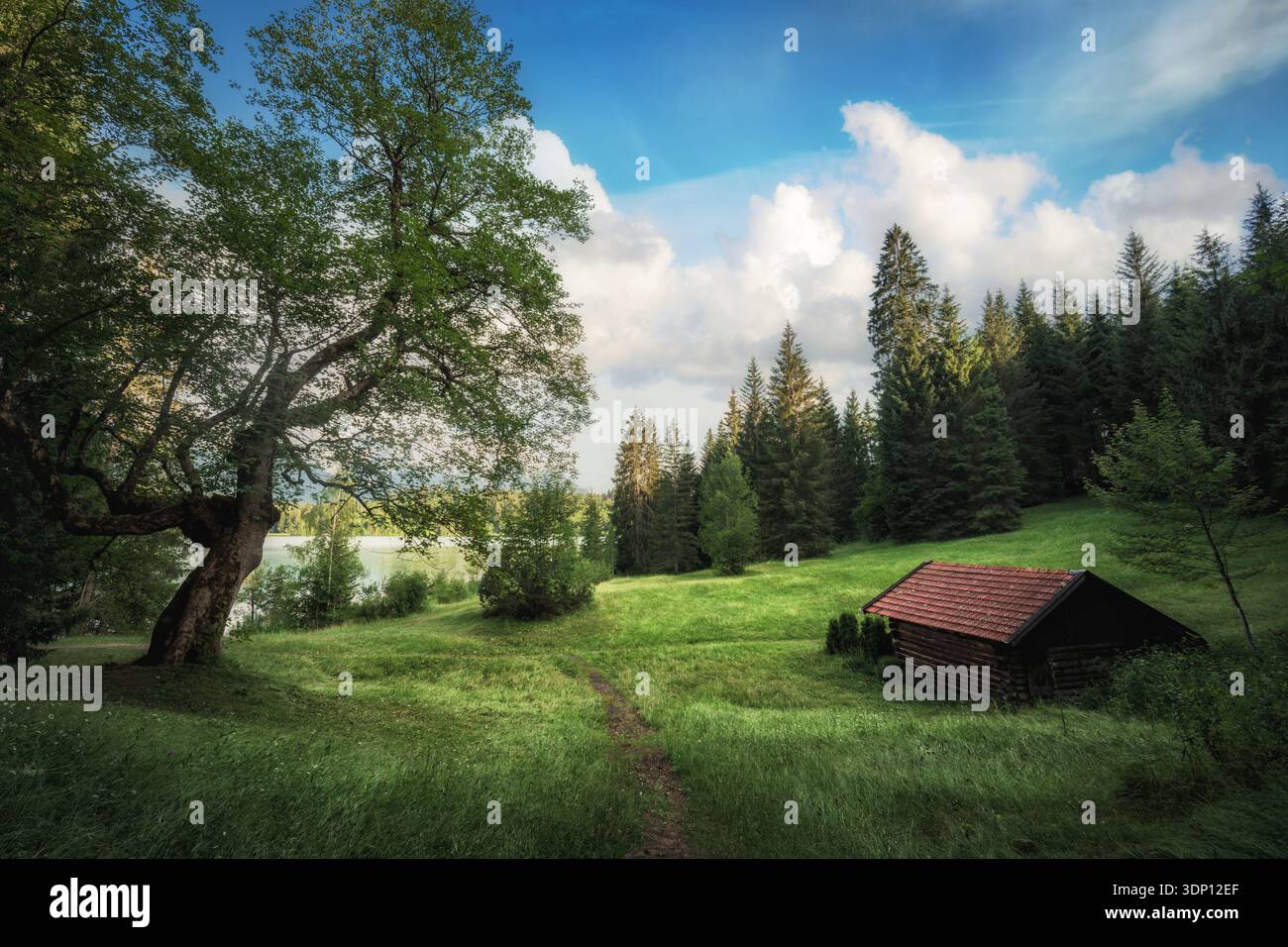 Paesaggio verde idilliaco con un fienile e soffici nuvole nel cielo blu vicino a un lago bavarese Foto Stock