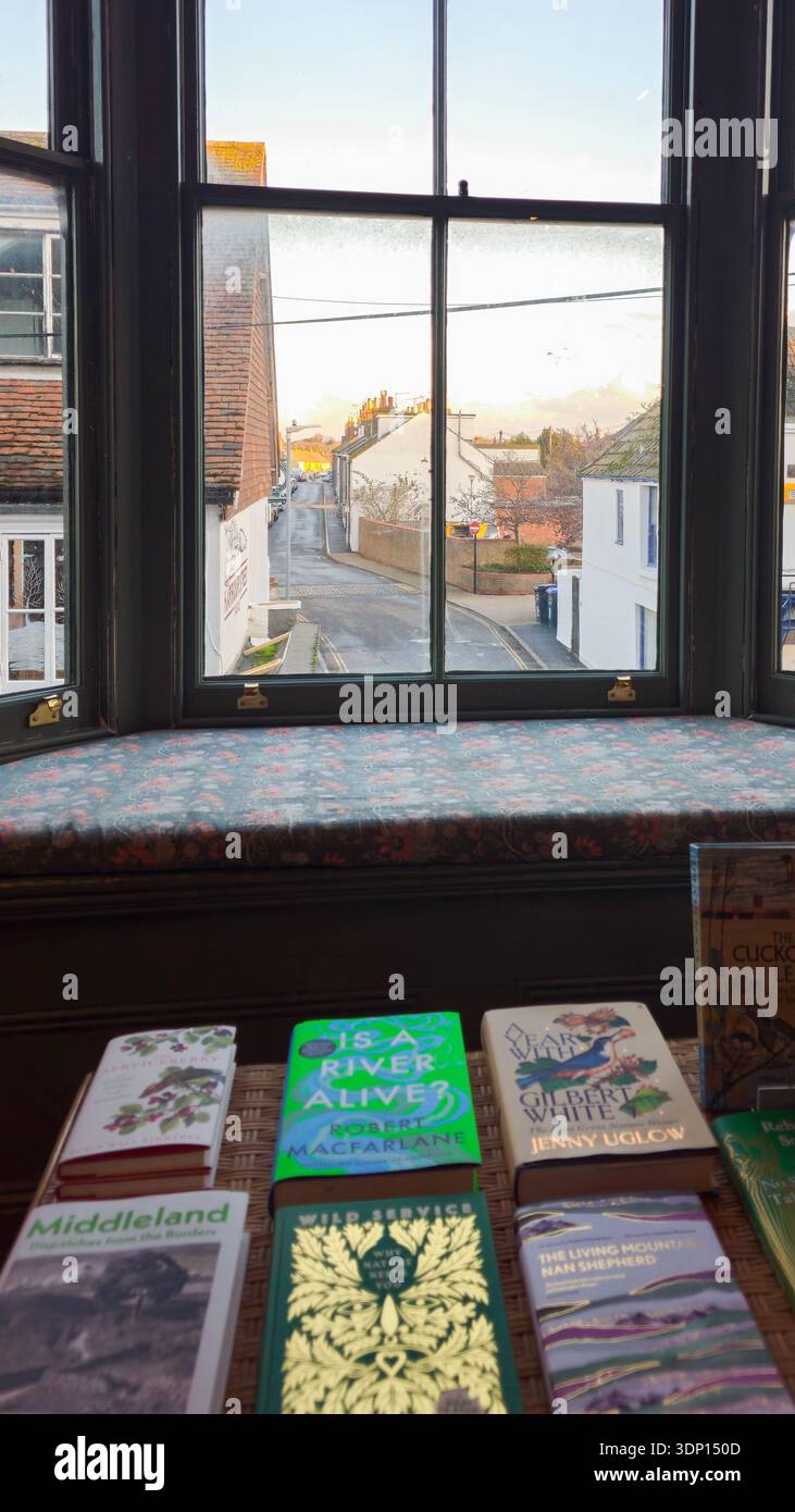 Una strada può essere vista da una finestra con edifici e alberi. I libri sono collocati su un tavolo. Biblioteca didattica Foto Stock