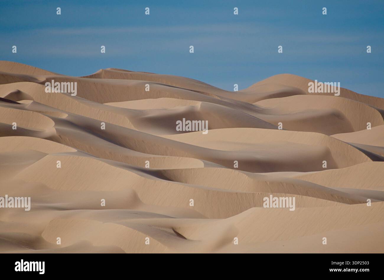 Dune di sabbia imperiali California Algodones Dunes Recreation area Foto Stock