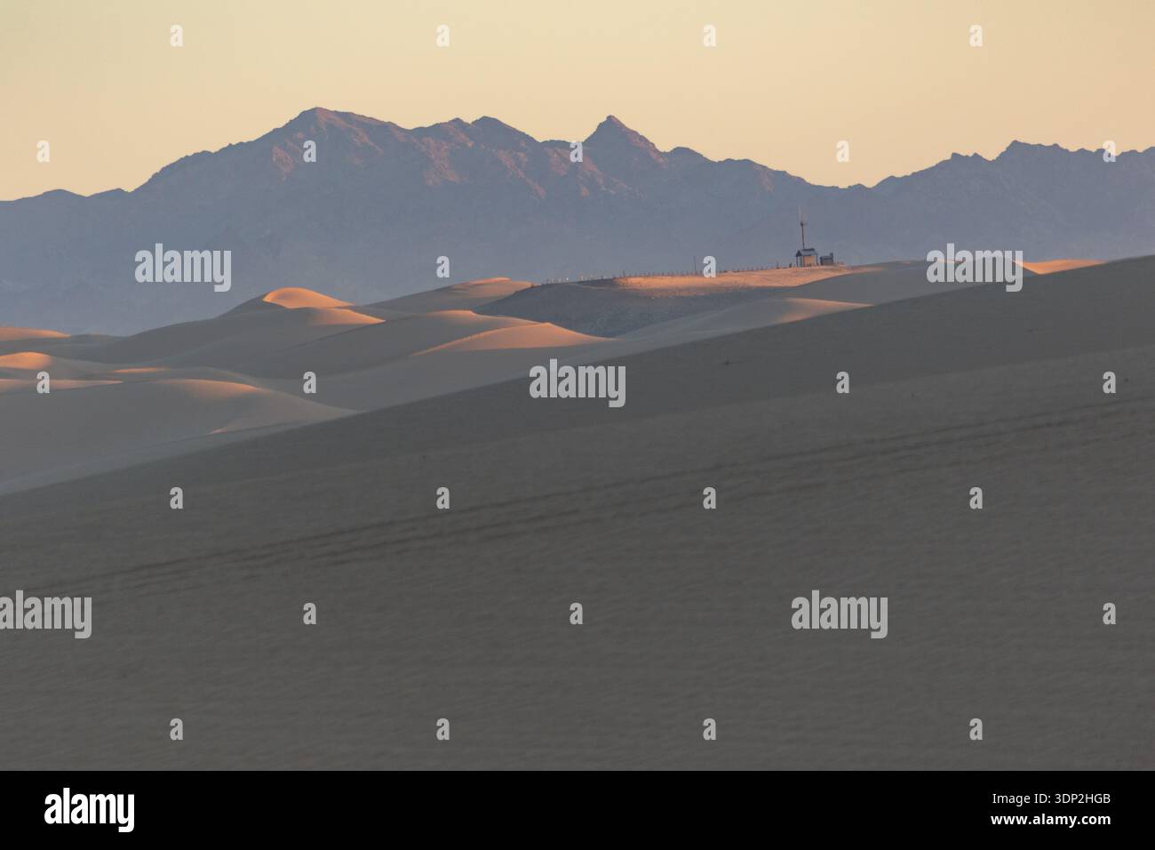 Le dune di sabbia dorata con curve lisce si estendono verso un lontano sfondo montano alle Algodones Dunes nella Imperial County, California. La calda messa a fuoco automatica tardiva... Foto Stock