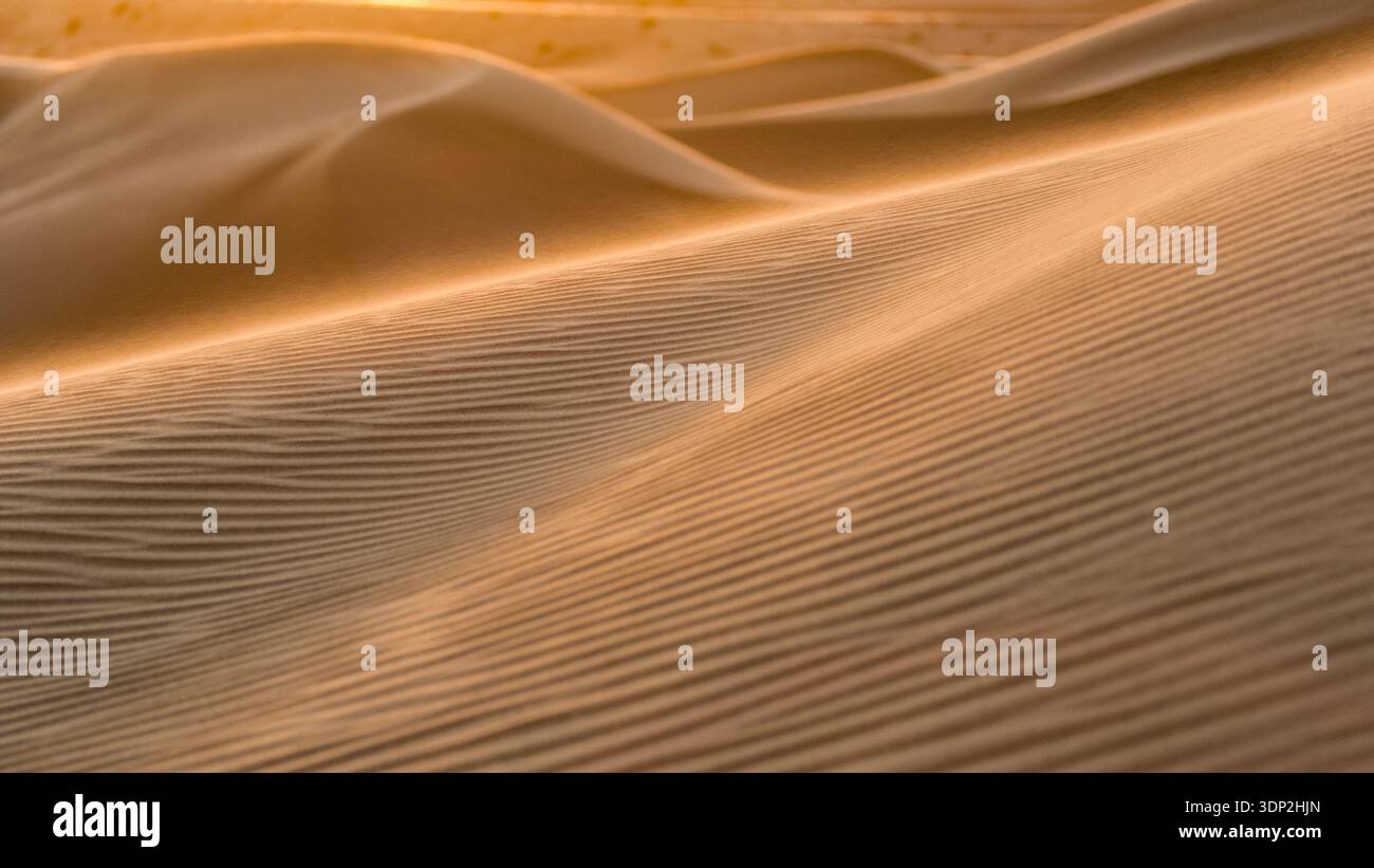 La luce del sole della sera d'oro cattura lo spindrift che soffia dalla cresta delle dune di sabbia di Algodones Dunes in California. Le luminose ciuffe di sabbia trasportata dall'aria... Foto Stock