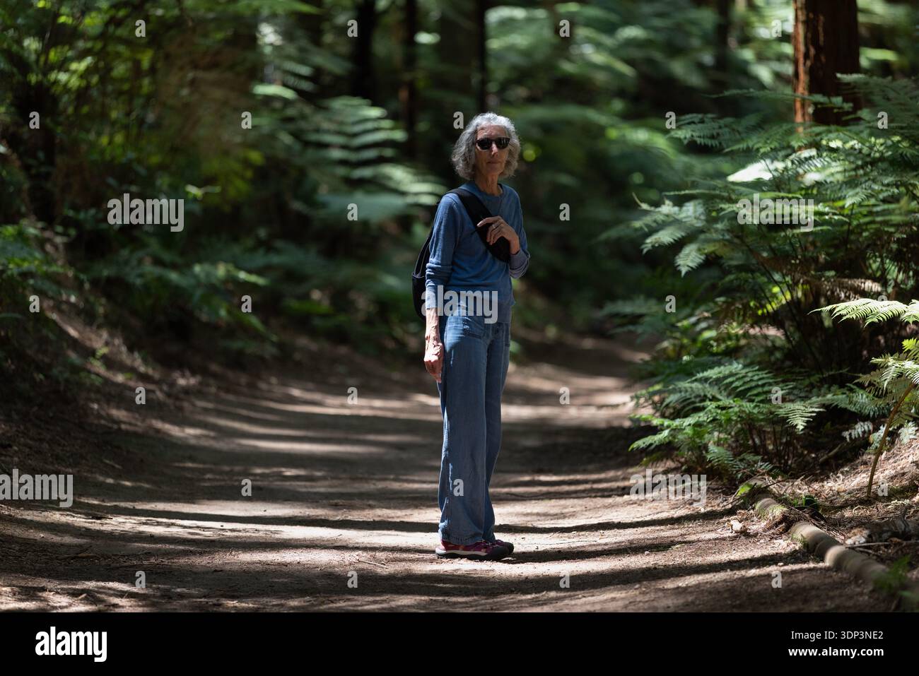 I visitatori possono passeggiare tra le torreggianti sequoie del Whakarewarewa Forest Park, Rotorua, nuova Zelanda. Foto Stock