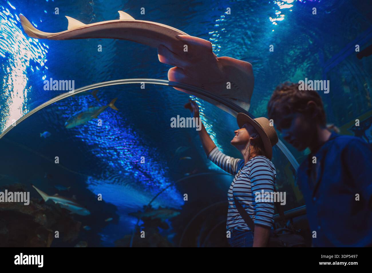 Madre e figlio camminano in un enorme tunnel interno dell'acquario, godendo degli abitanti sottomarini e mostrando interesse reciproco mentre guardano gli squali e. Foto Stock