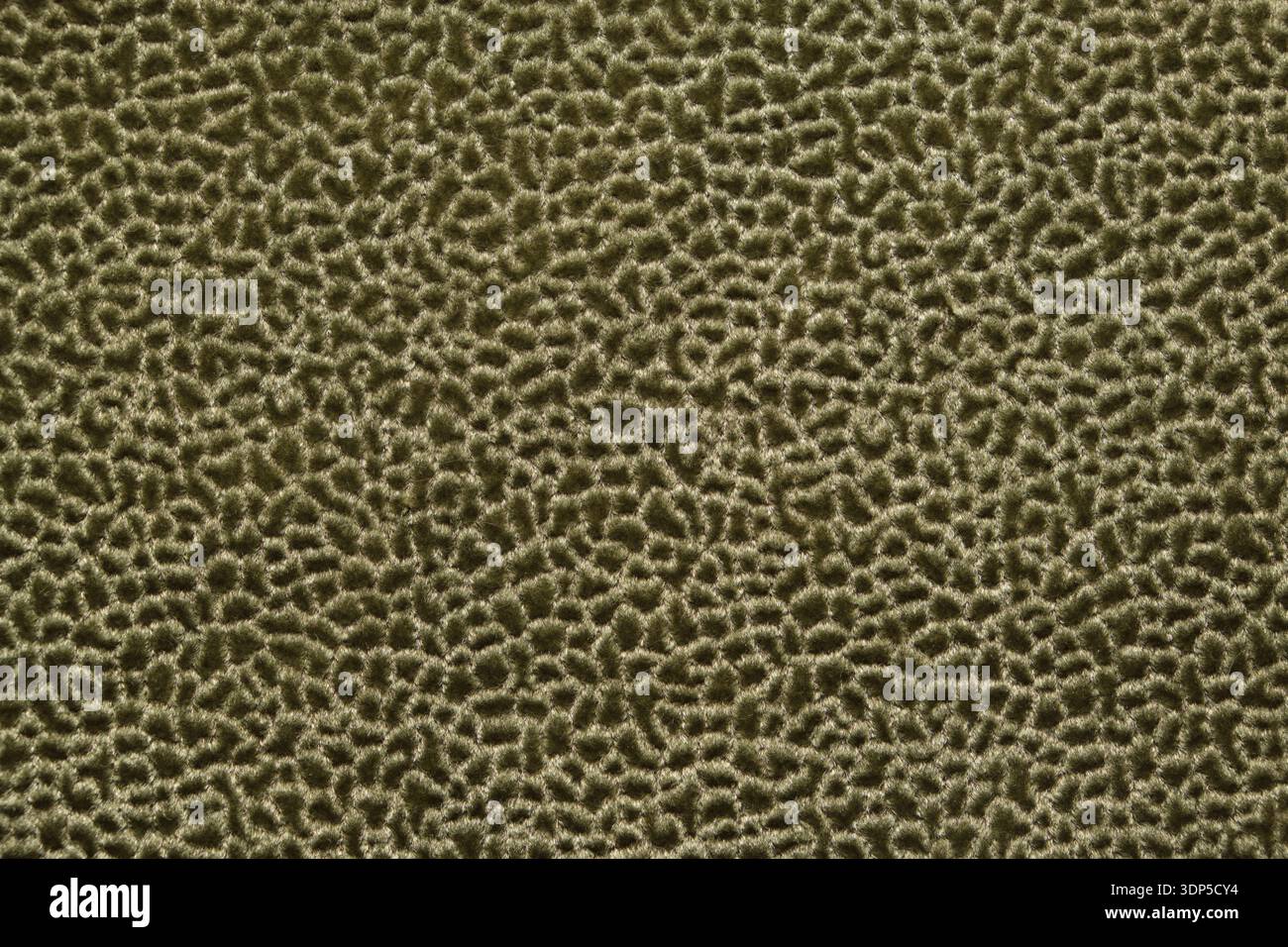 Primo piano di morbidi moquette color verde oliva con un pelo fitto e ombre profonde per un design interno Foto Stock