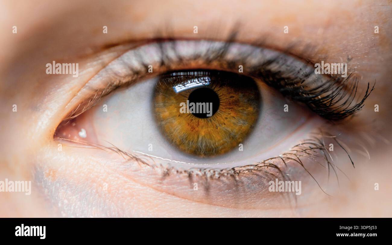 Foto macro dettagliata di un occhio umano con Iris color ambra vibrante e ciglia lunghe. Foto Stock