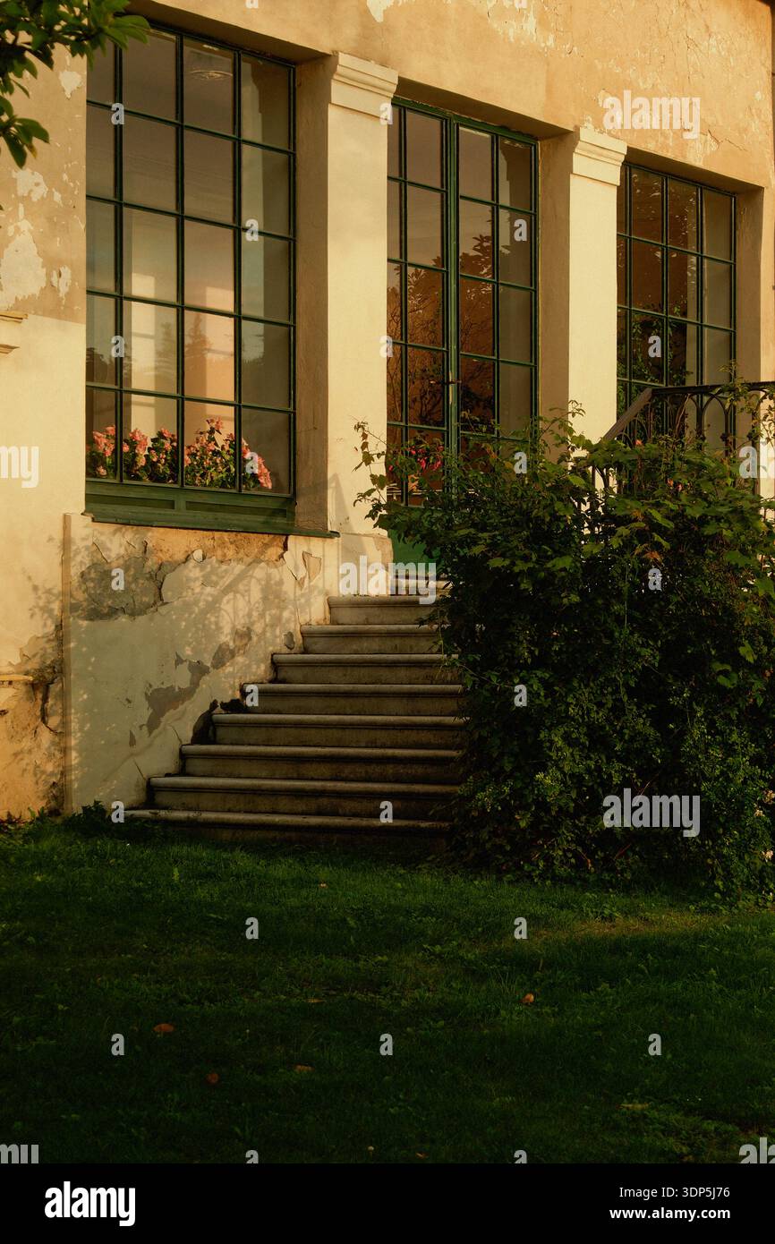 La scalinata in pietra raggiunge le finestre adornate. I gradini in pietra usurati conducono a finestre luminose e giardini lussureggianti Foto Stock