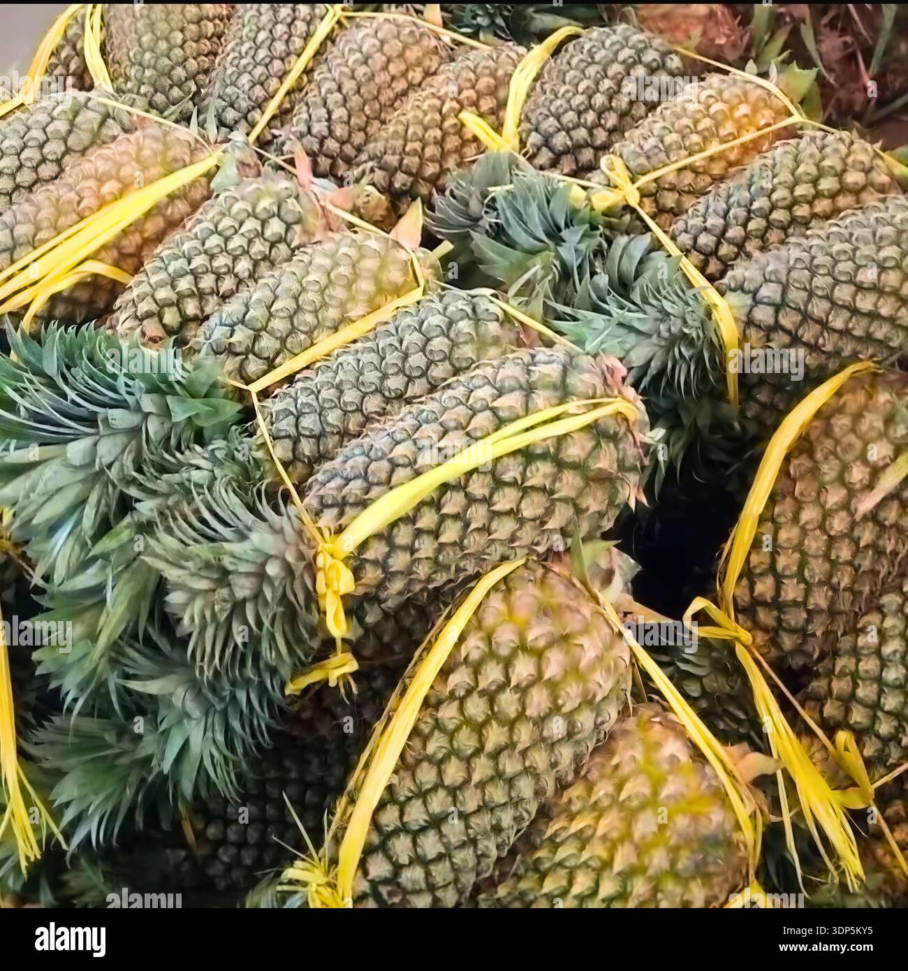 Ananas freschi con cravatte gialle, impilati in un'esposizione di mercato, che mostrano la raccolta di frutta tropicale, la consistenza naturale e l'abbondanza di prodotti biologici Foto Stock