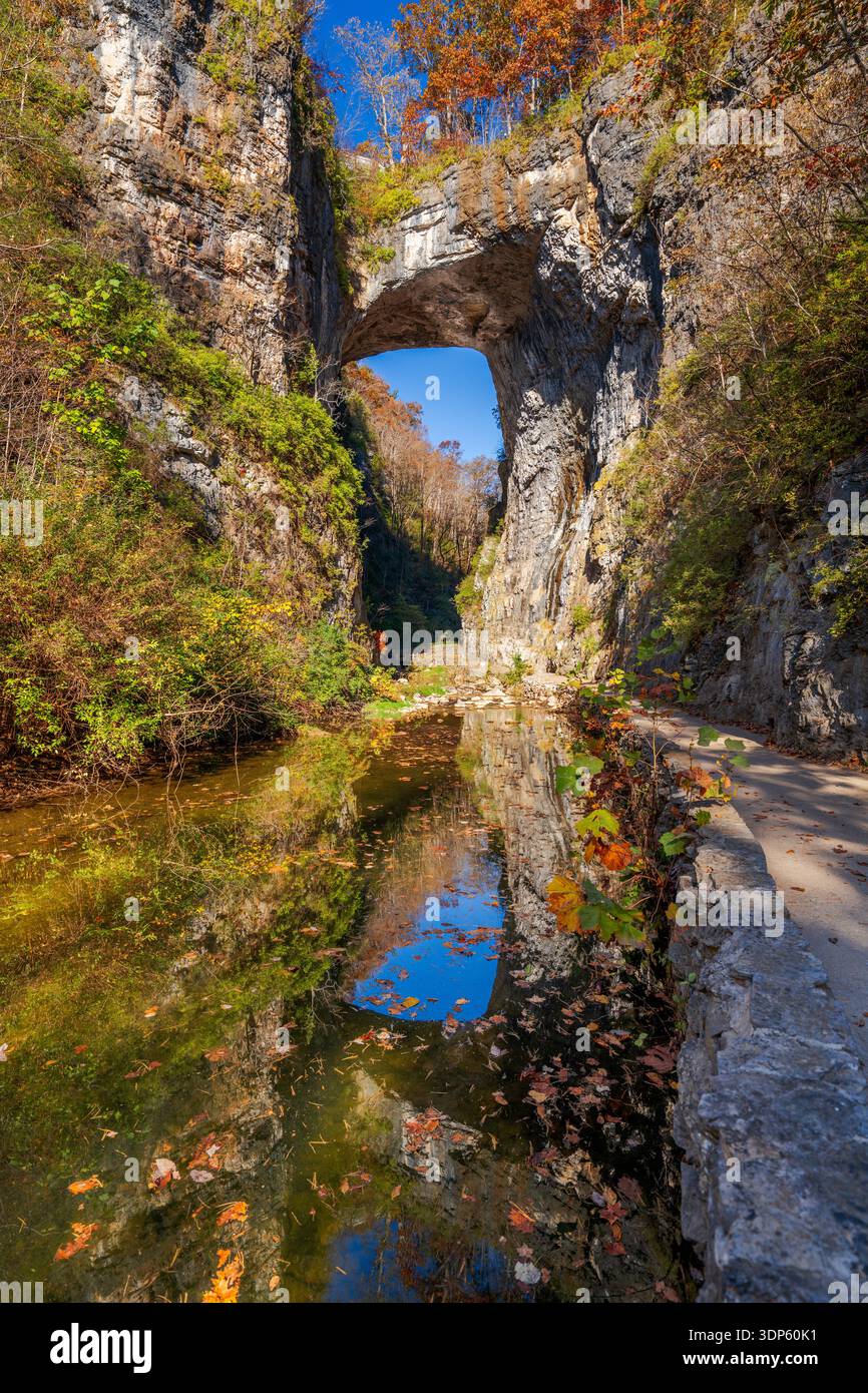 Natural Bridge, Virginia, USA dal basso in autunno. Foto Stock