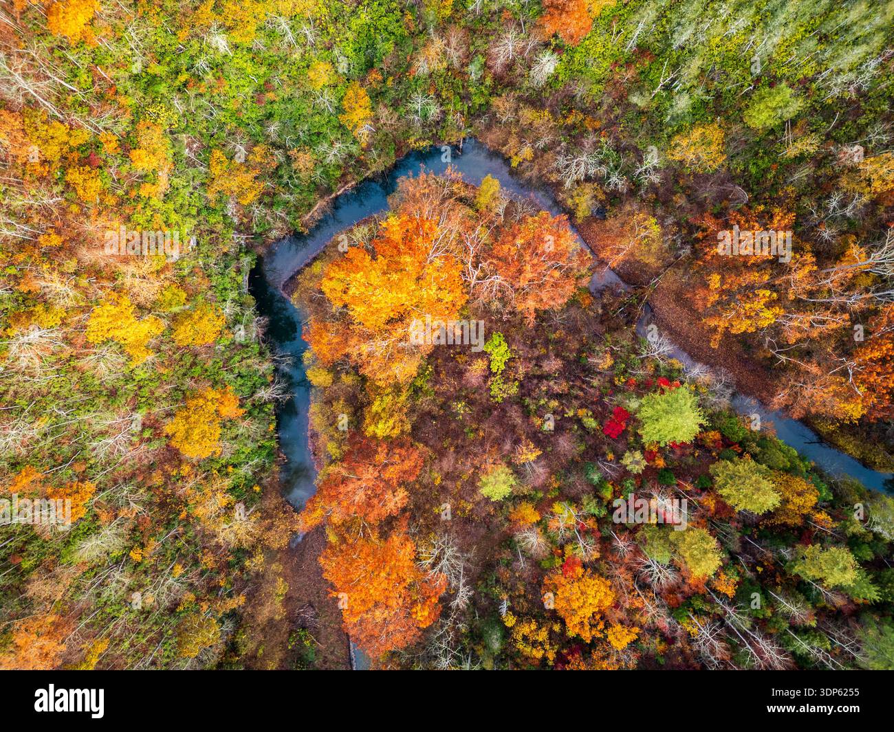 James River in West Virginia, USA, stagione autunnale. Foto Stock