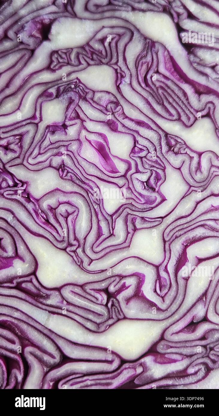 Macro sfondo texture cavolo rosso - Immagine stock catturata con smartphone
