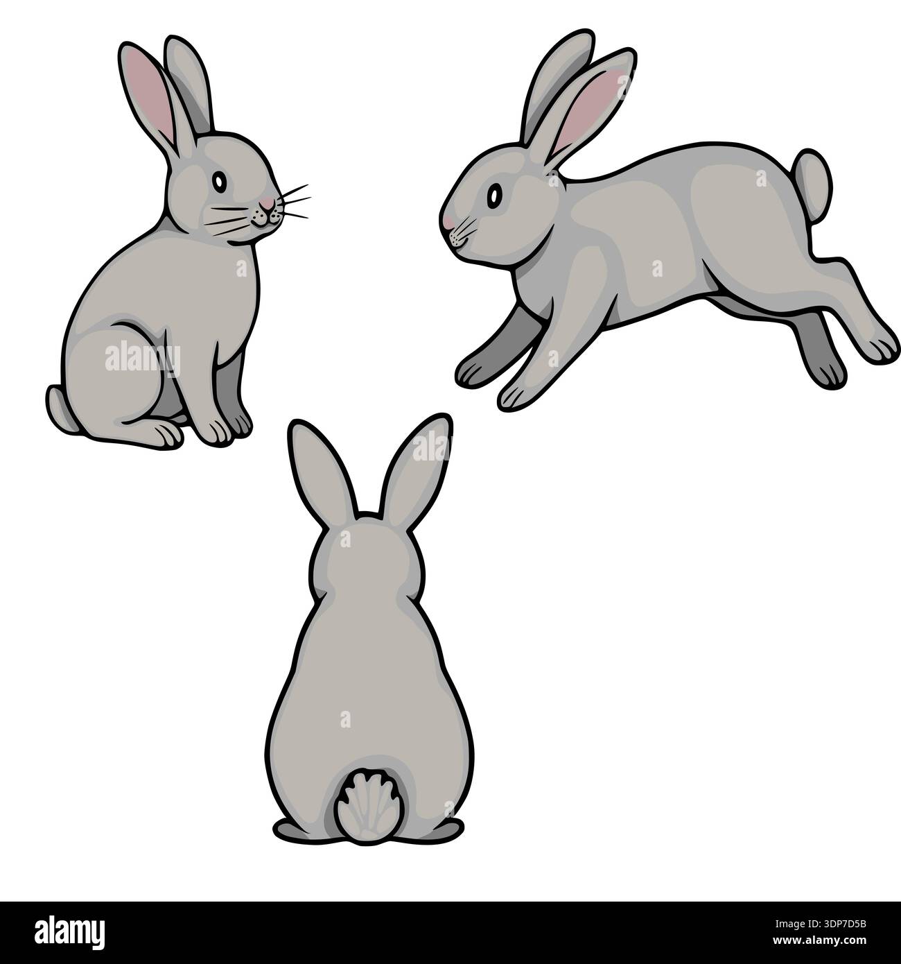 Set di tre simpatici conigli vettoriali grigi in posizioni diverse, isolati su sfondo bianco Illustrazione Vettoriale