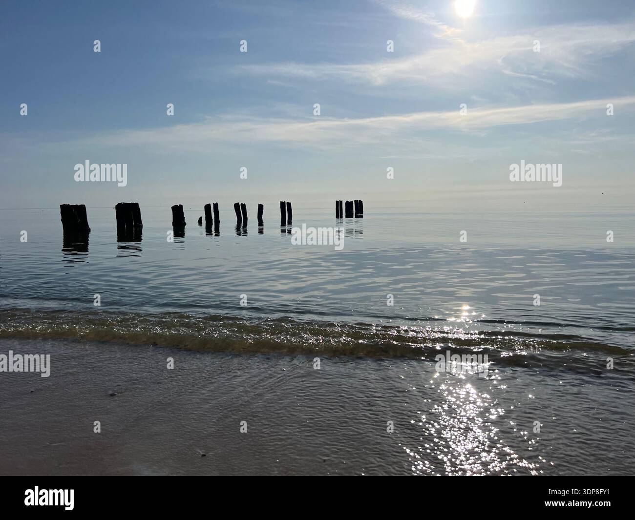 Onde in legno che emergono dalle acque calme e poco profonde lungo la spiaggia del Mar Baltico a Preila, Curonian Spit National Park, Lituania. Catturato durante su - Immagine stock catturata con smartphone
