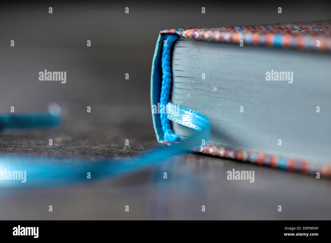 Vista dettagliata del dorso di un libro con pagine blu, nastro di seta e un motivo tradizionale decorato Foto Stock