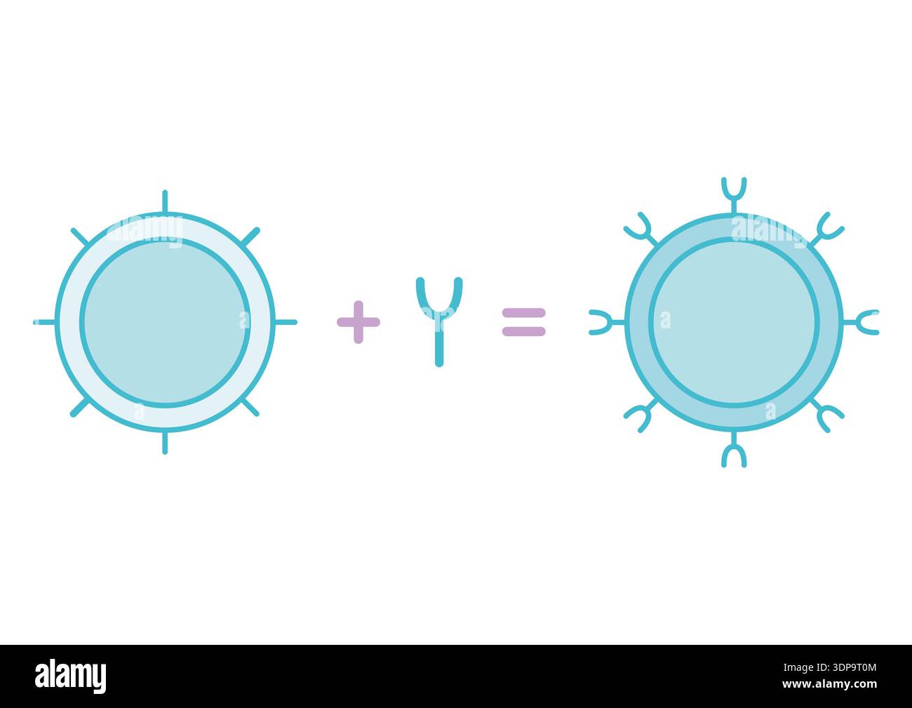 Illustrazione concettuale delle cellule del recettore dell'antigene chimerico (CAR-T). Le cellule CAR-T sono le cellule T di un paziente, una forma di globuli bianchi, che sono stati geneticamente modificati per riconoscere e distruggere alcuni tumori o cellule autoimmuni che altrimenti potrebbero essere tollerati dal sistema immunitario. Foto Stock