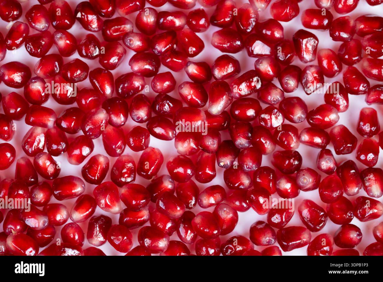 Semi di melograno luminosi usati come guarnizione, primo piano gourmet che cattura arils lucidi su piatti invisibili, evocando una cucina di lusso e un'ispirazione moderna Foto Stock