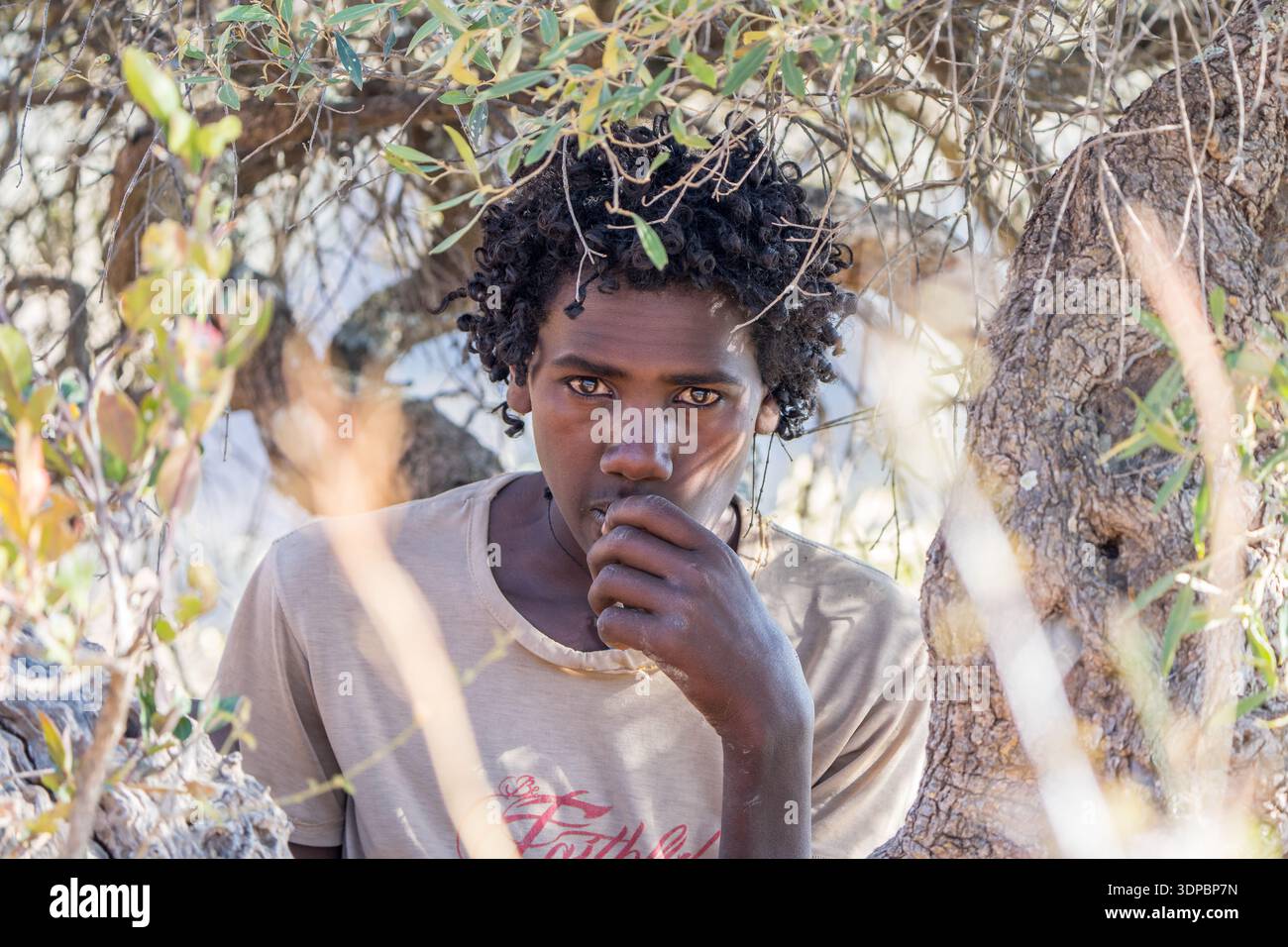 Lo sguardo intenso di un ragazzo etiope, regione del Tigray, Etiopia Foto Stock