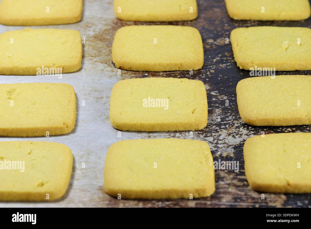 Biscotti per il tè al cospino della Frisona orientale su vassoio da forno Foto Stock