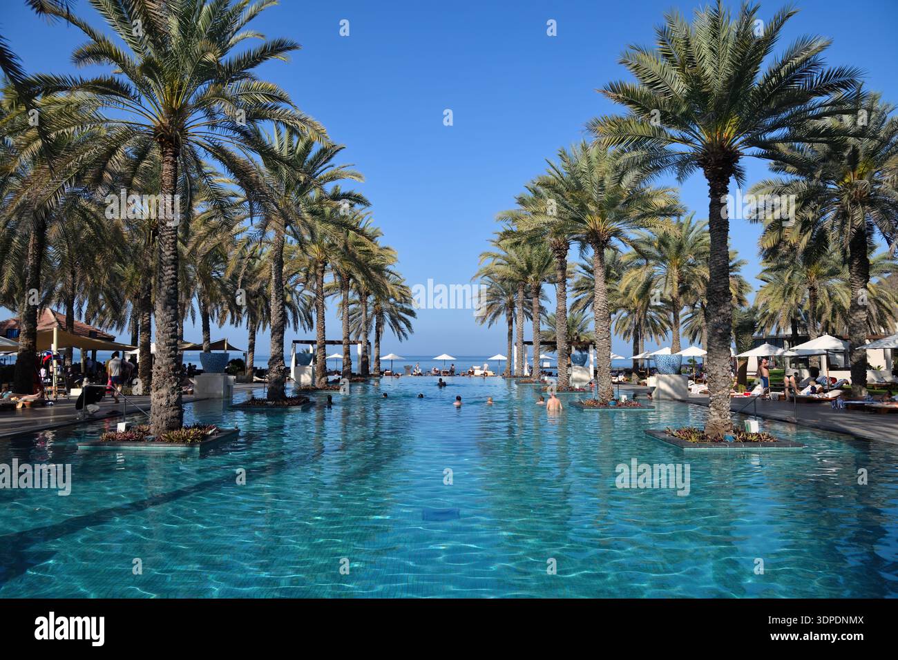 Mascate, Oman - 9 febbraio 2026: Piscina nell'al Bustan Palace, un hotel Ritz-Carlton, popolare hotel di lusso con spiaggia sul Golfo di Oman Foto Stock