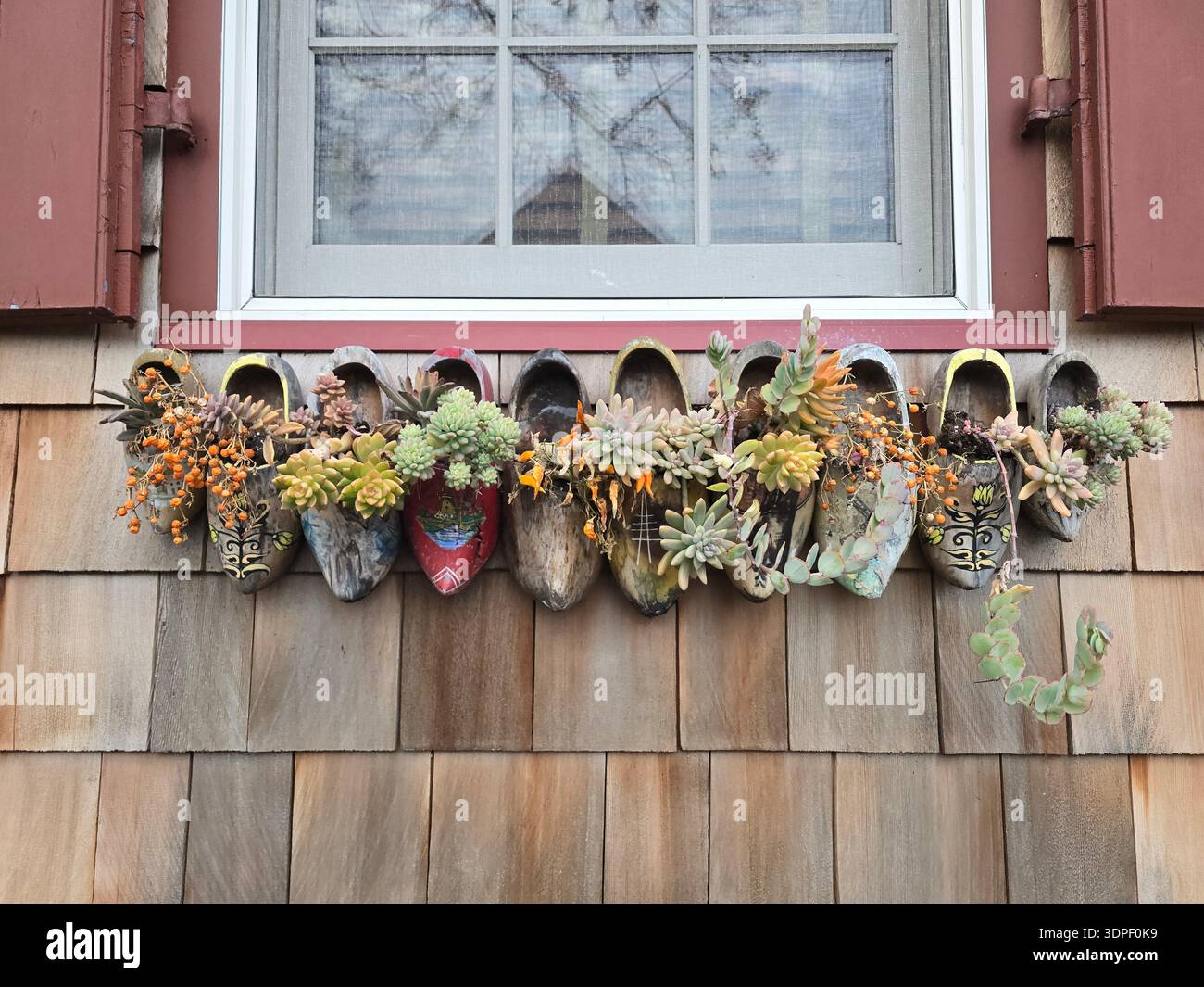 Lewes, Delaware, Stati Uniti d'America – novembre 2025: Zoccoli di legno colorati montati sulla parete esterna di un cottage costiero, riutilizzati come piantagioni con piante grasse Foto Stock
