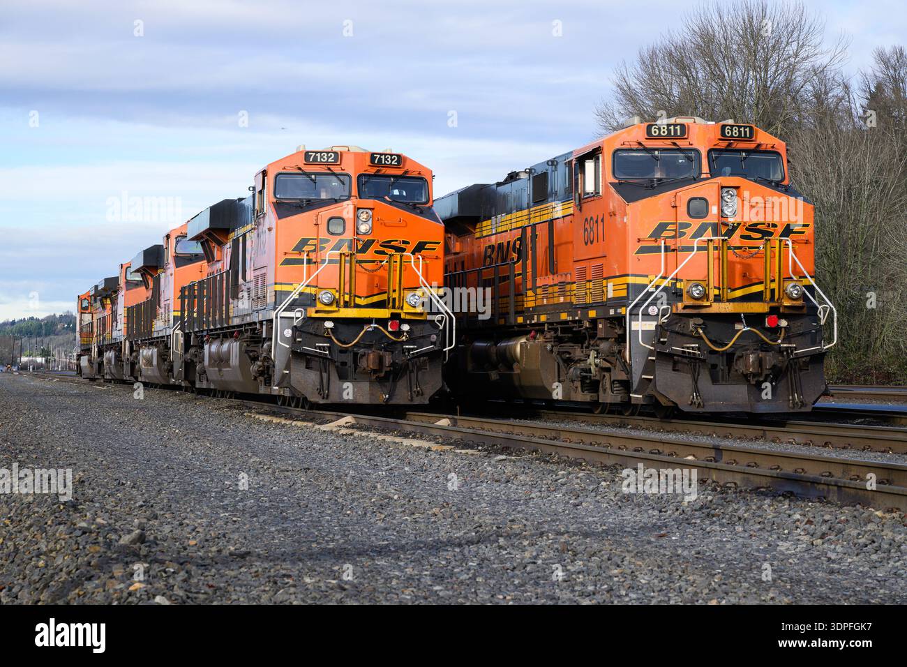 Seattle - 3 gennaio 2026; due file di locomotive ferroviarie merci BNSF parcheggiate con logo Swoosh Foto Stock