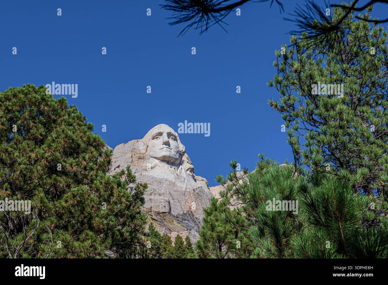 George Washington visto sul Monte Rushmore dal Presidential Trail. Foto Stock