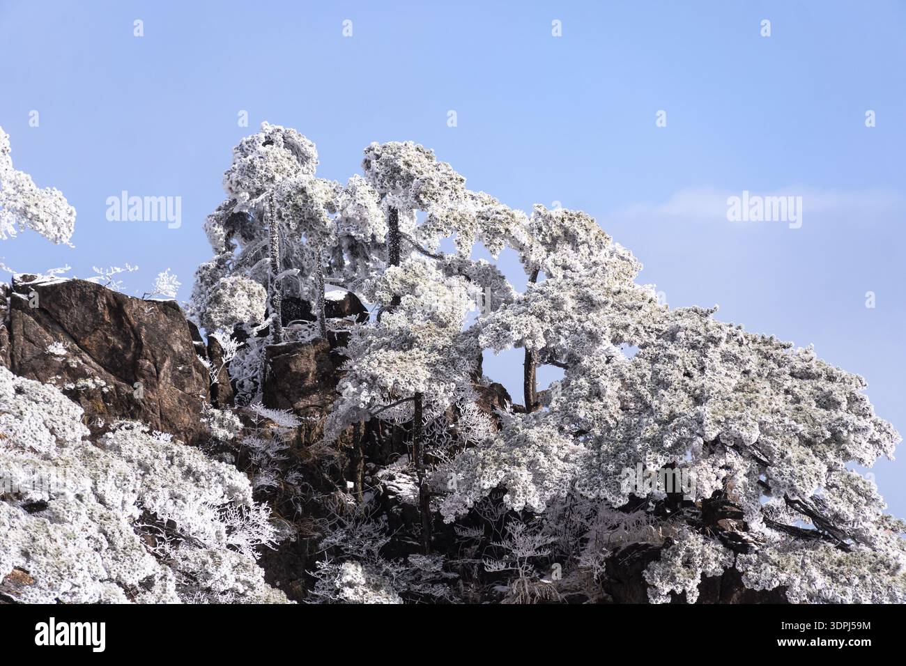 Huangshan, Cina: Spettacolare vista del paesaggio ghiacciato nella montagna gialla, il Monte Huangshan, in Cina in inverno sotto il cielo blu Foto Stock