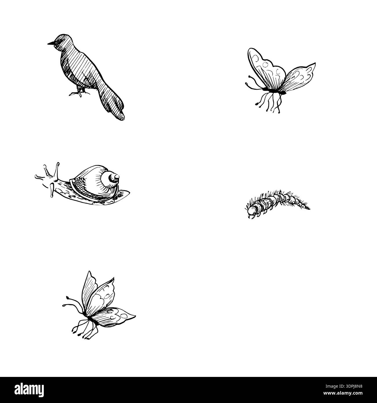 Una serie di insetti e uccelli. Illustrazione vettoriale in uno stile tropicale realistico per interni, stampa su tessuti, carta da parati e tessuti. Illustrazione Vettoriale