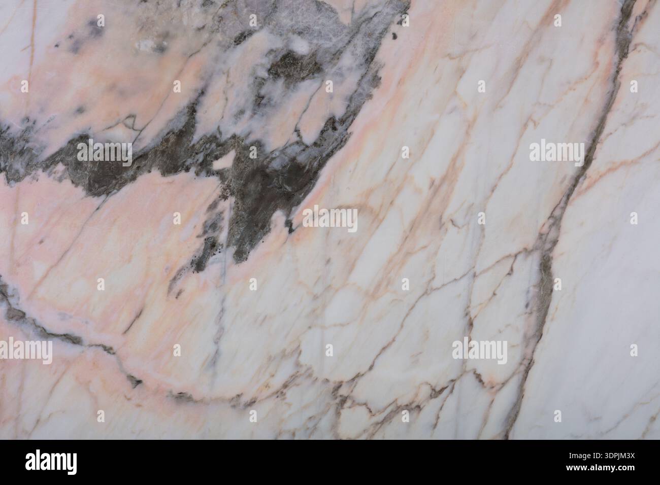 Consistenza naturale in marmo Calacatta Creme in un bel colore chiaro. Foto Stock