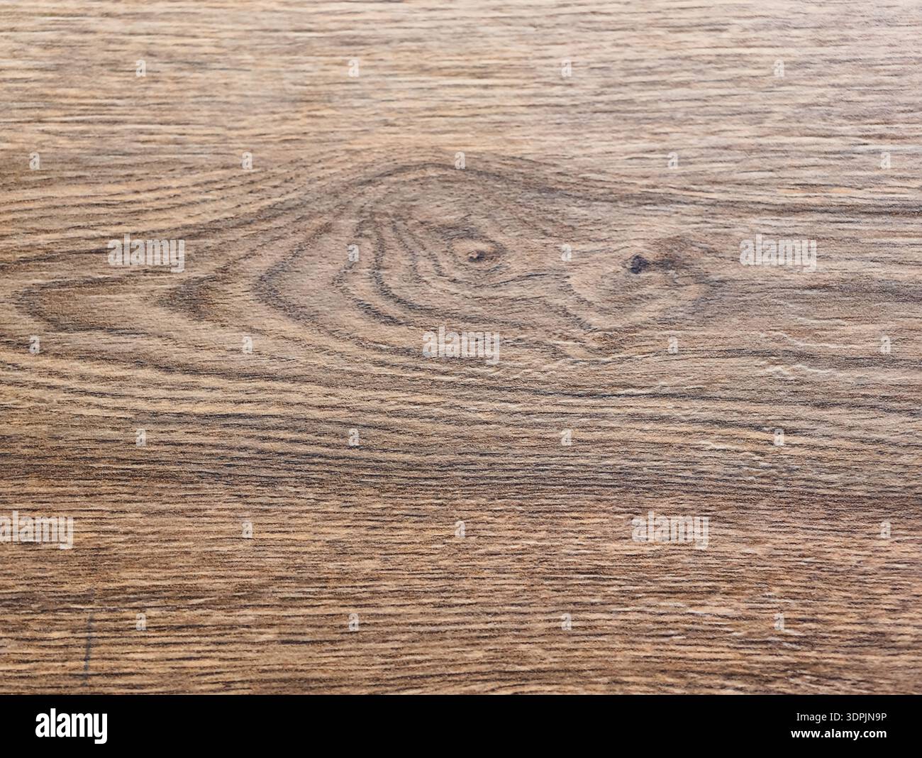 Fondo in legno di quercia naturale con morbide tonalità beige e grigio-marrone con motivo orizzontale a grana lineare e tappezzeria circolare con dettagli di nodo prominente. Foto Stock