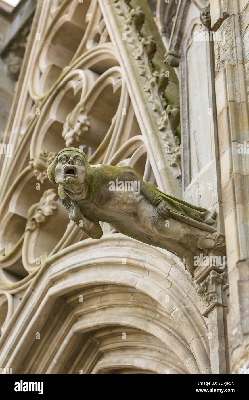 Gargoyle in pietra gotica sulla facciata della basilica di Carcassonne, Francia Foto Stock