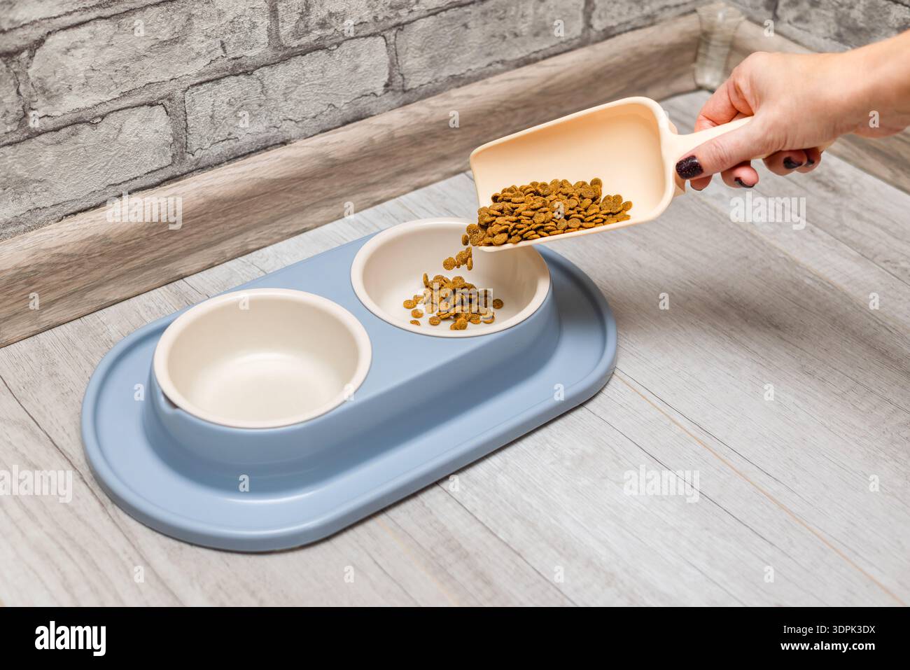 L'apparecchio versa il cibo secco in un recipiente per il gatto. Foto Stock