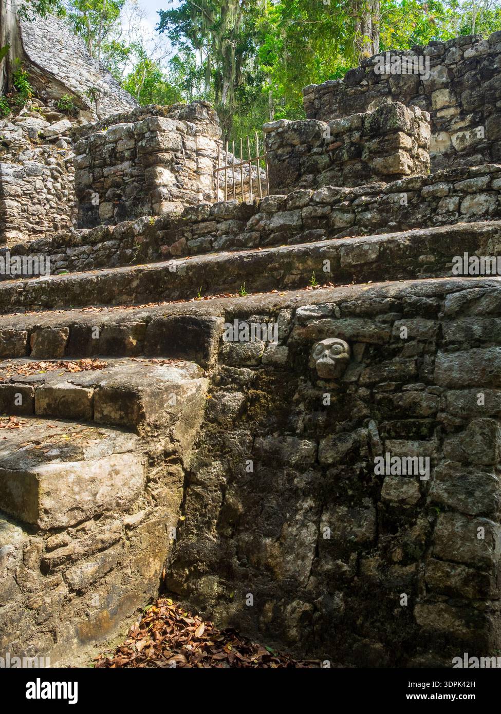 Dettaglio del campo da gioco Maya con scultura di teschio, città Maya di Coba, Quintana Roo Foto Stock