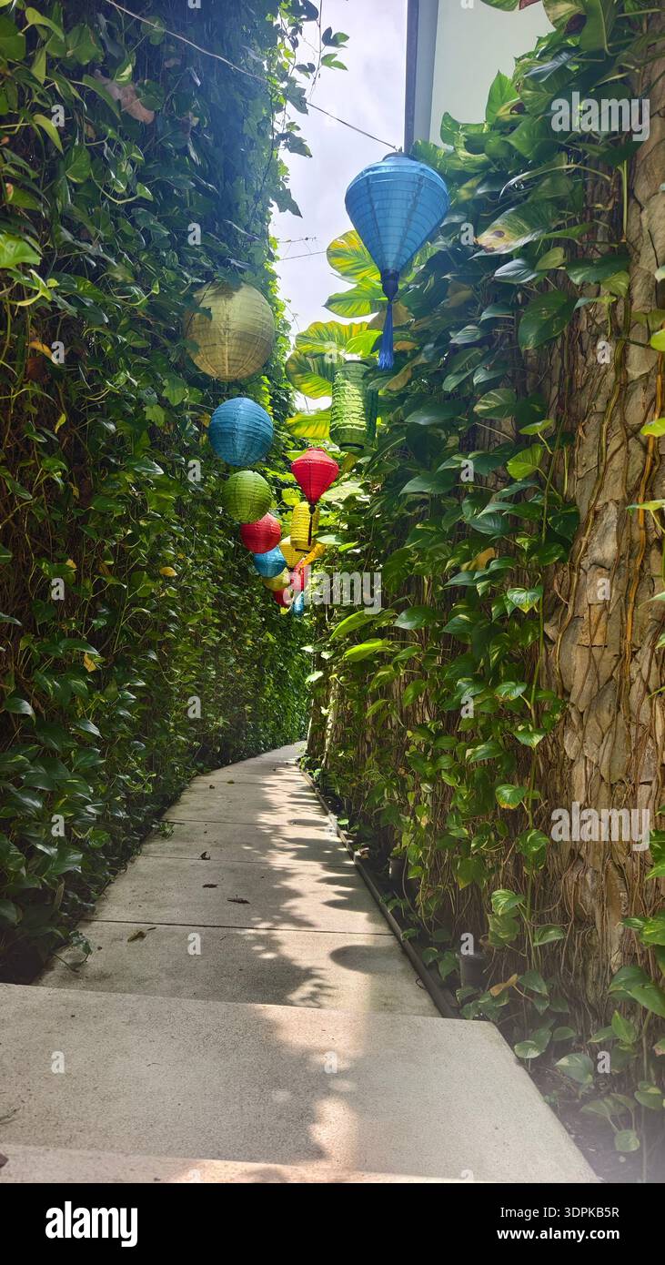 Lanterne colorate appese su uno stretto vialetto fiancheggiato da un lussureggiante fogliame verde e dalla luce del sole che proietta ombre sul terreno. Foto Stock