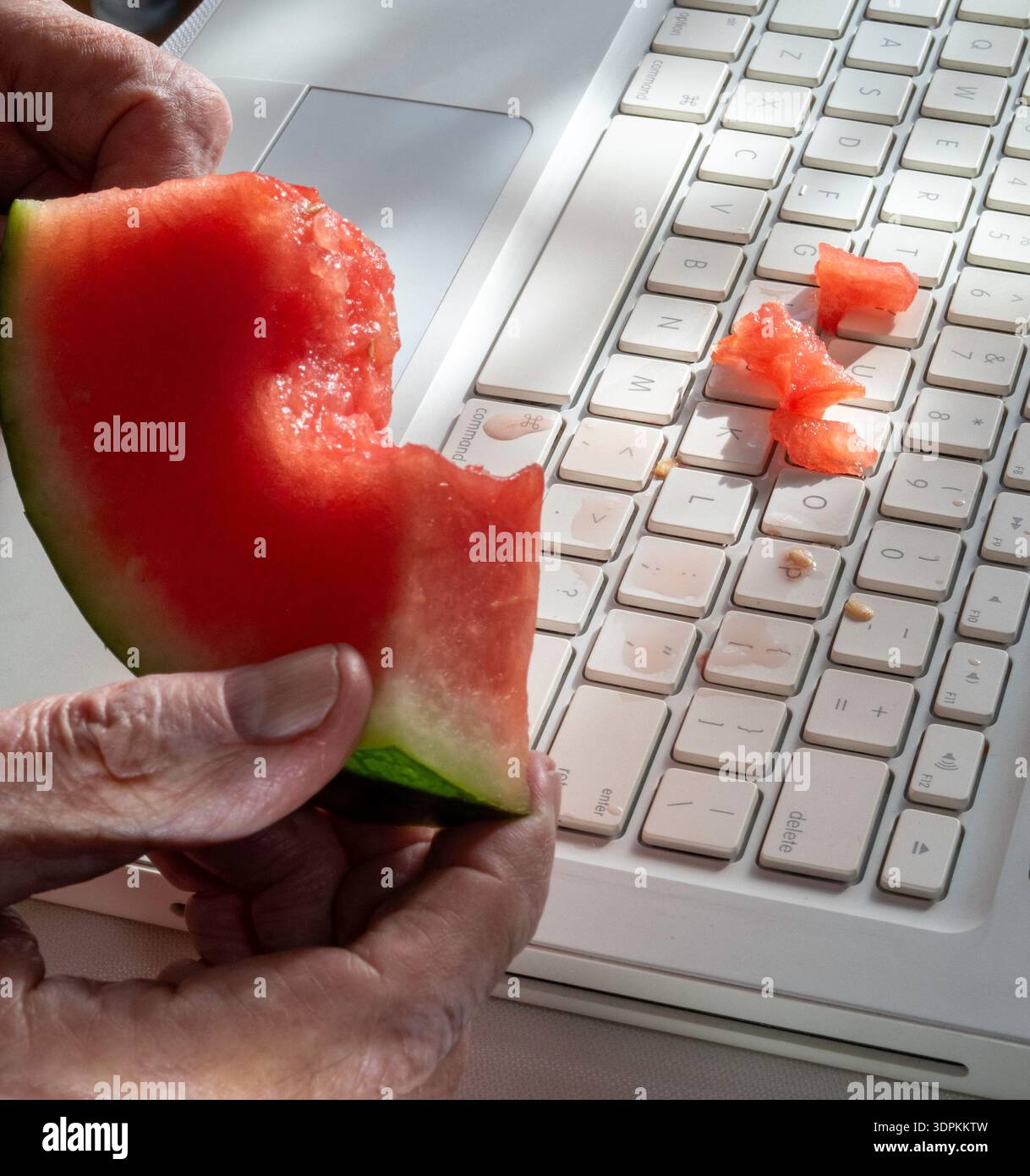 Primo piano dell'anguria versata sulla tastiera di un computer, 2026, Stati Uniti Foto Stock