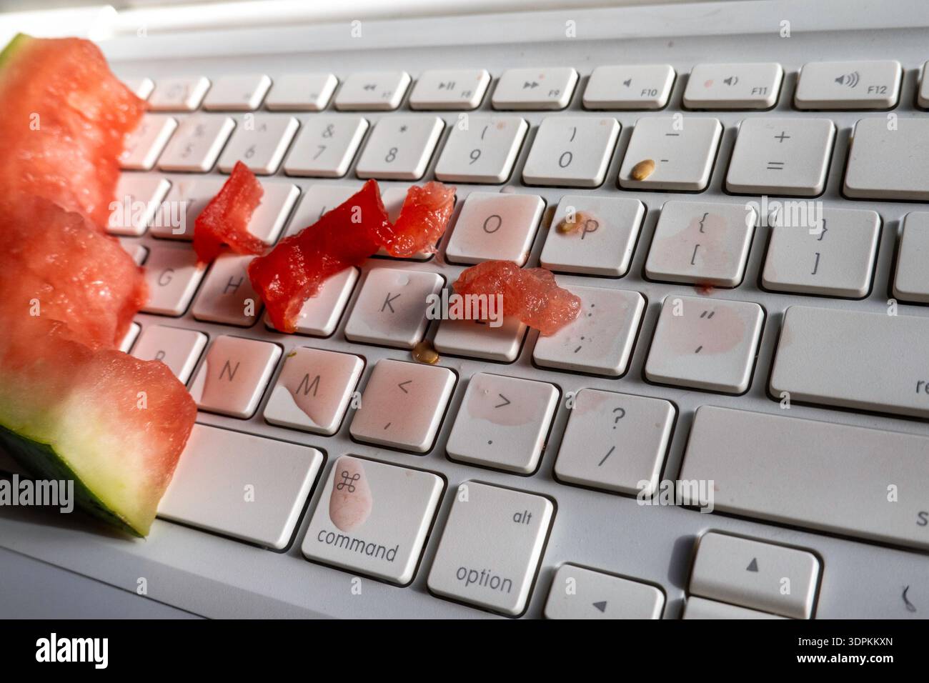 Primo piano dell'anguria versata sulla tastiera di un computer, 2026, Stati Uniti Foto Stock