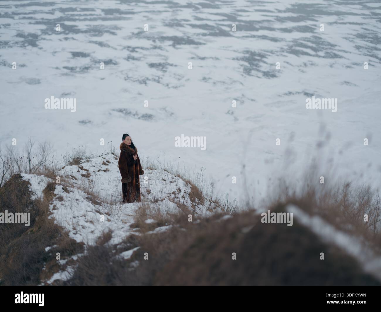 Ripresa ad angolo alto di una donna elegante che posa su una scogliera innevata. Vasto mare ghiacciato con motivi di ghiaccio sullo sfondo. Paesaggio invernale minimalista Foto Stock