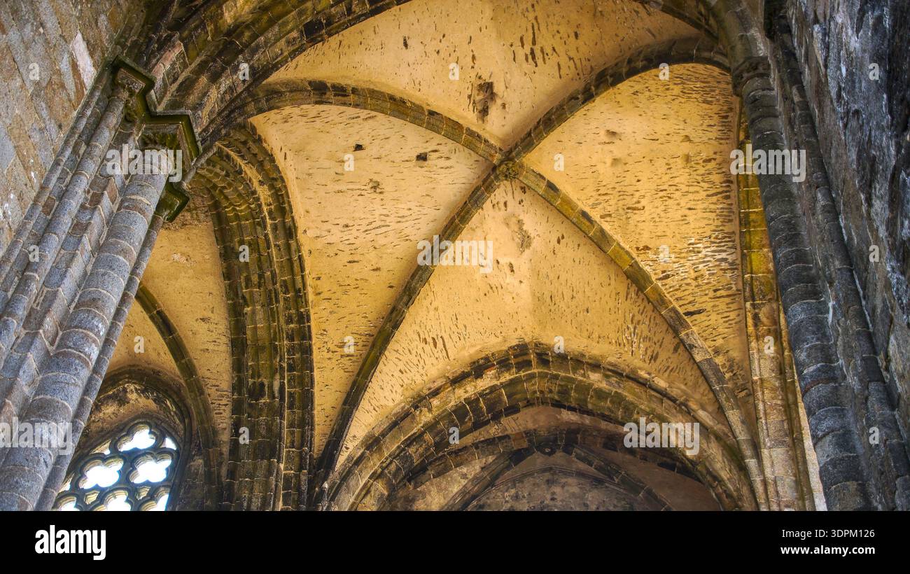 Una vista dettagliata di un soffitto a volta gotico con intricati lavori in pietra, che mostrano artigianato medievale e grandiosità architettonica. Foto Stock