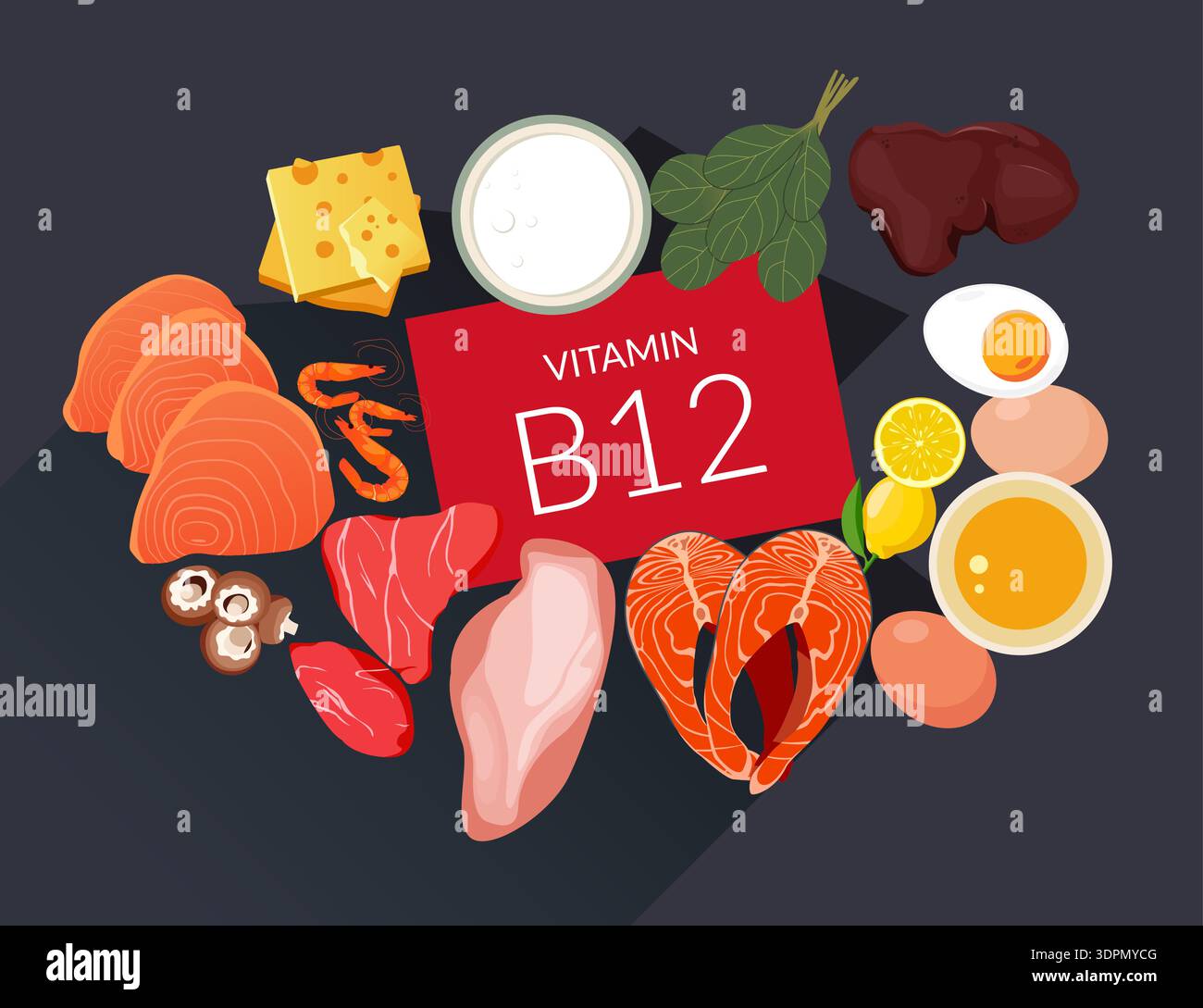 Cibo ricco di vitamina essenziale B12 - illustrazione di scorta come file EPS 10 Illustrazione Vettoriale