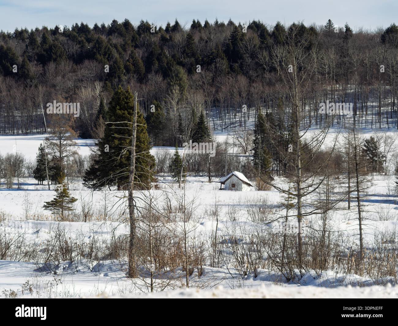 Paesaggio rurale innevato, Quebec, Canada Foto Stock