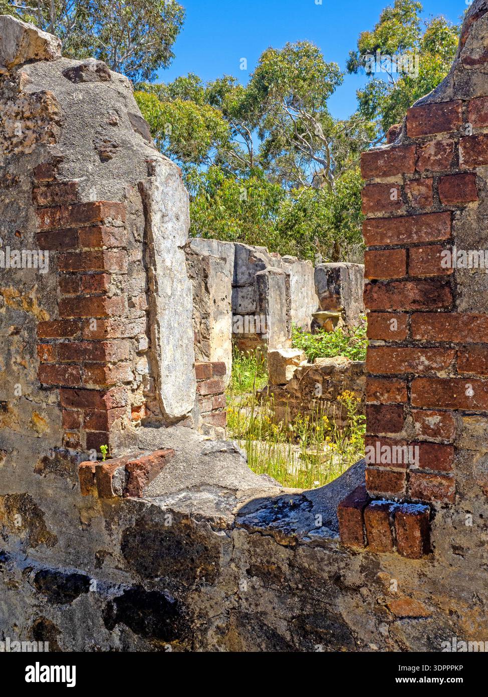 Rovine di Kiers, parco nazionale di Cleland Foto Stock