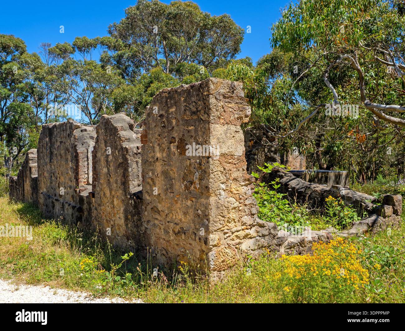 Rovine di Kiers, parco nazionale di Cleland Foto Stock