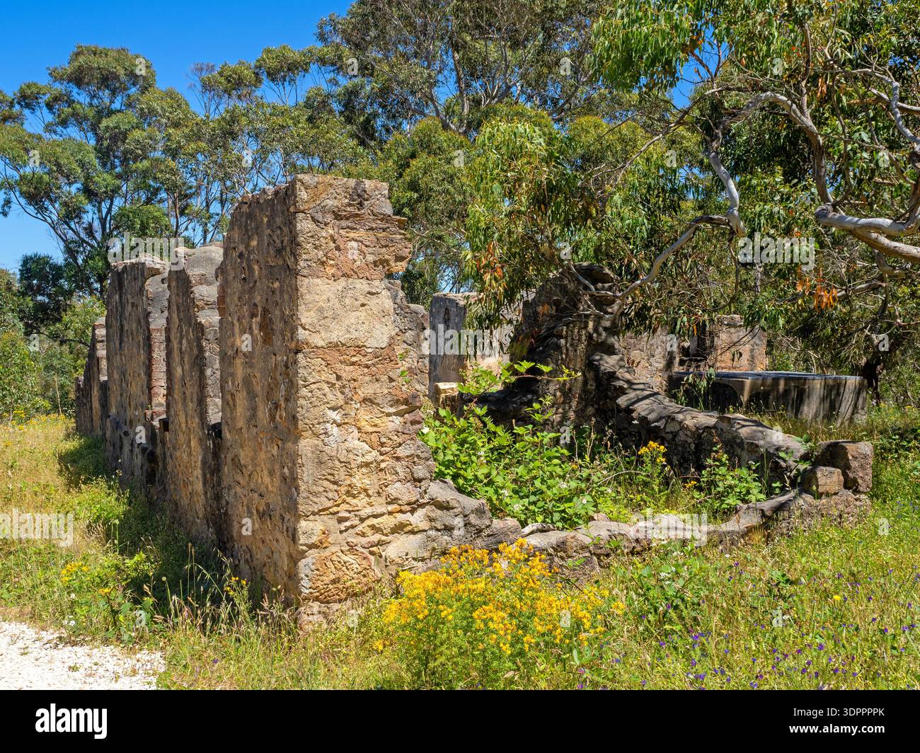 Rovine di Kiers, parco nazionale di Cleland Foto Stock